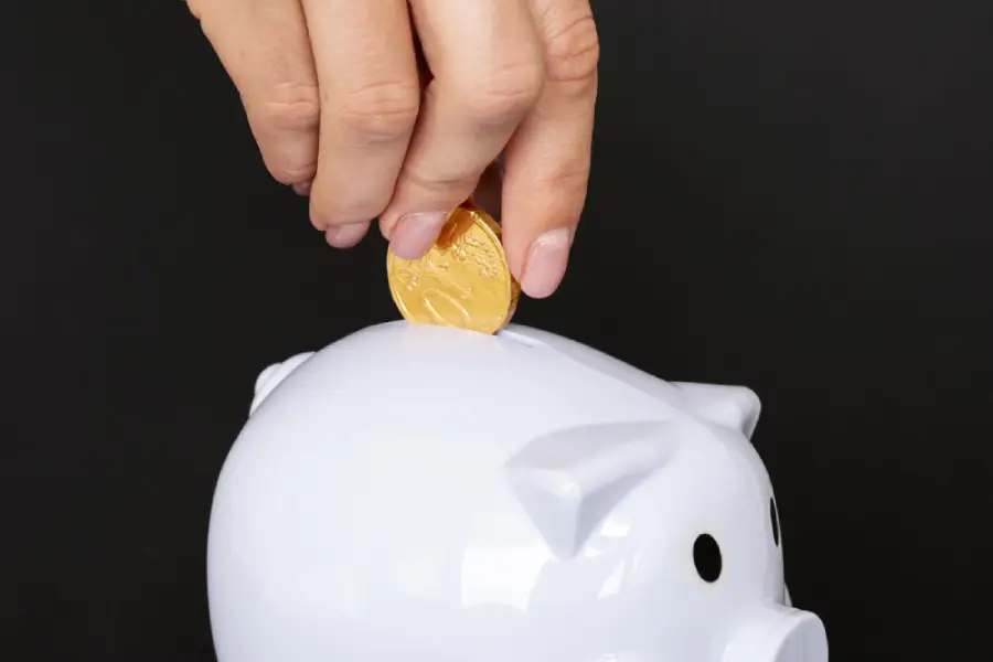 piggy bank