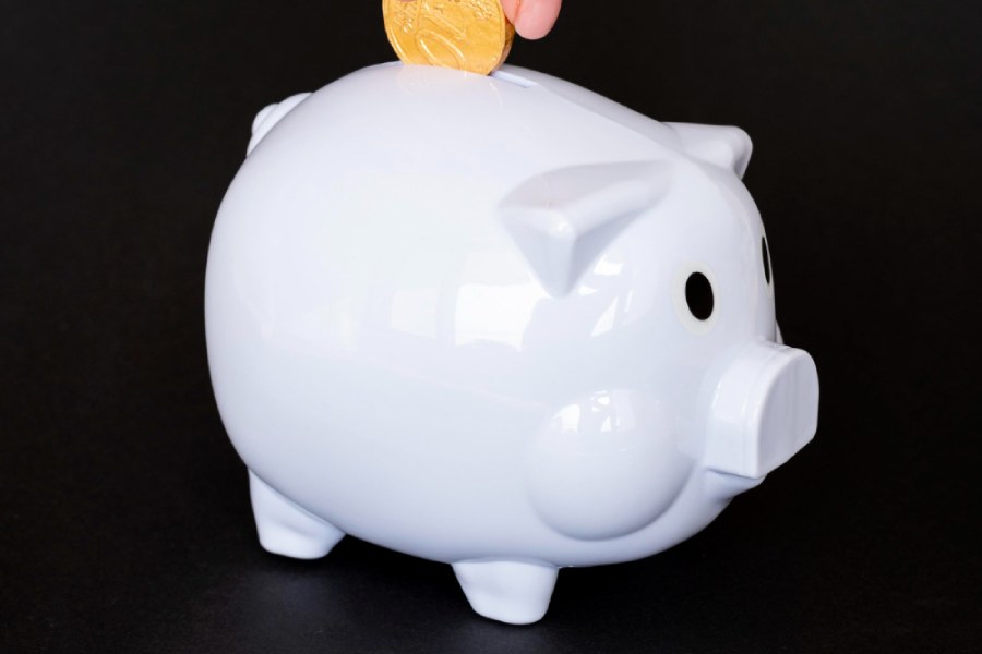 Person placing a coin in a piggy bank