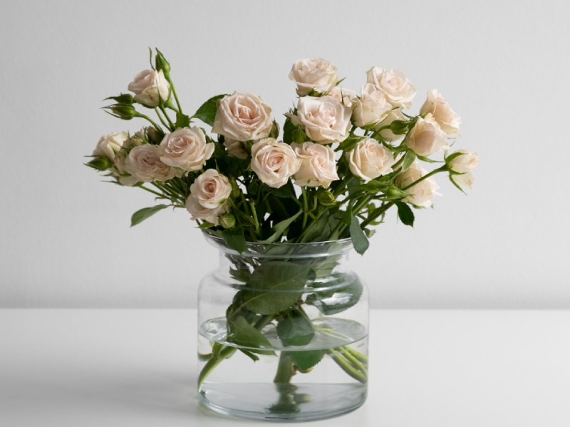 View of delicate white roses bouquet in vase